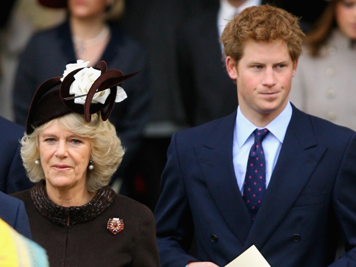 Does Prince Harry See Camilla As An 'Evil Stepmother'?