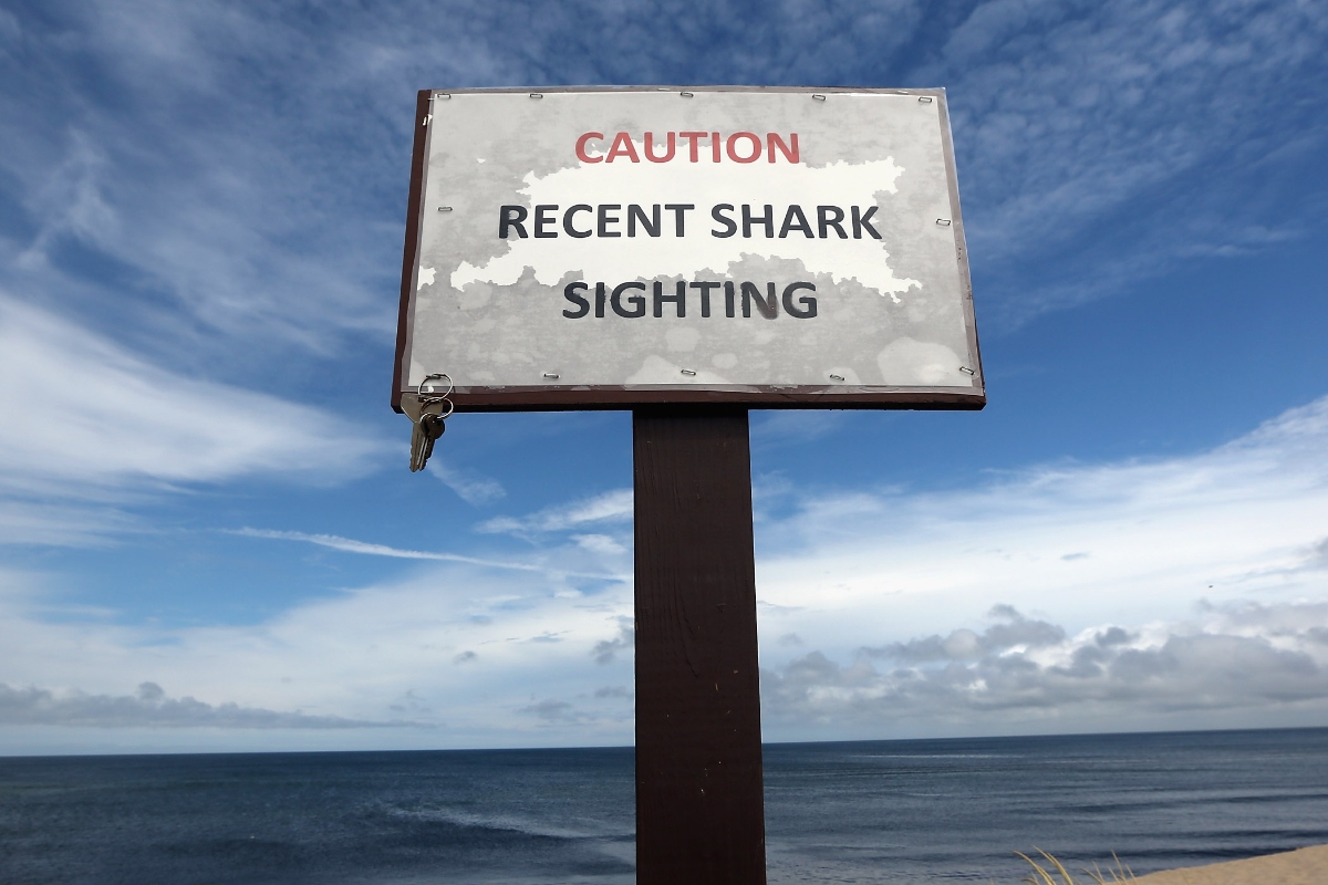 3-people-injured-in-2-different-shark-attacks-at-neighboring-florida-beaches