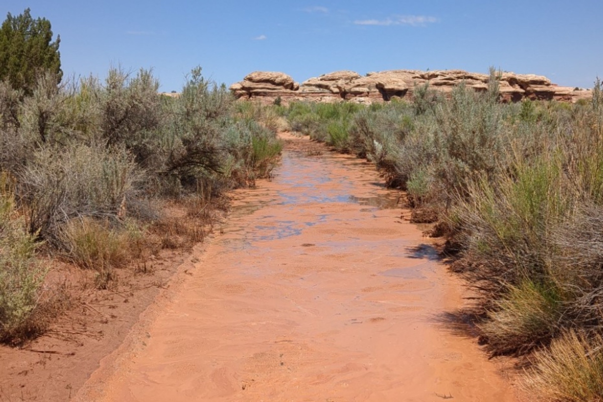 father-and-daughter-found-dead-after-hiking-at-national-park-in-extreme-heat