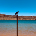 hiker-dies-after-running-out-of-water-in-state-park-amid-106-degree-weather