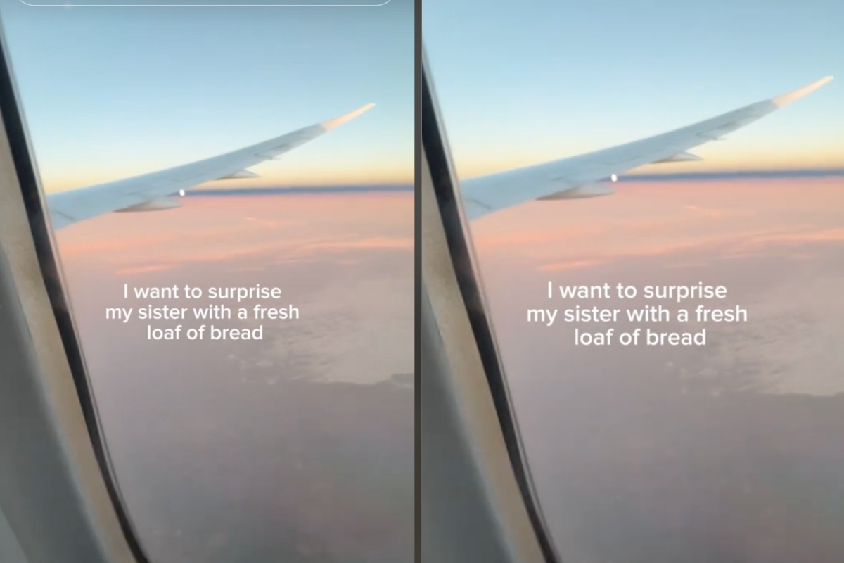 airplane-passenger-slammed-for-baking-sourdough-bread-mid-flight-enjoy-your-germ-bread