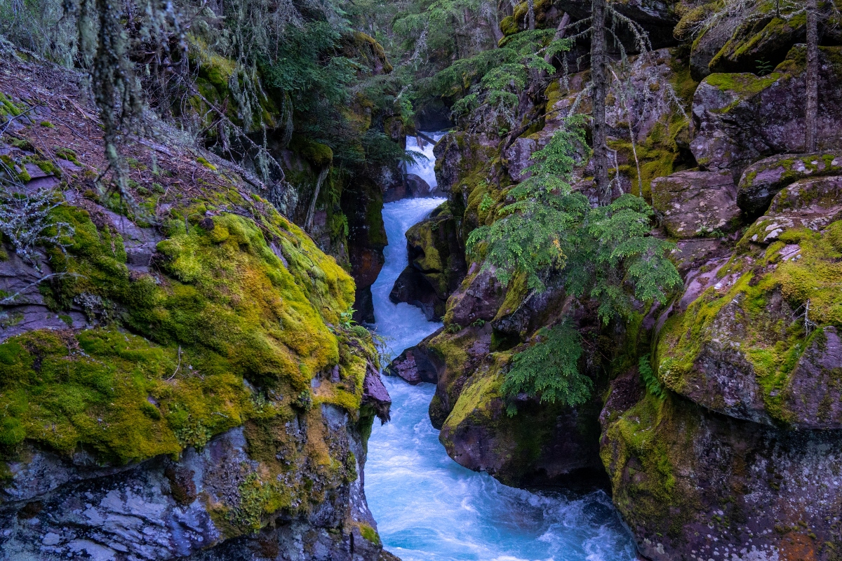 body-recovered-one-month-after-tourist-fell-into-avalanche-creek-at-glacier-national-park