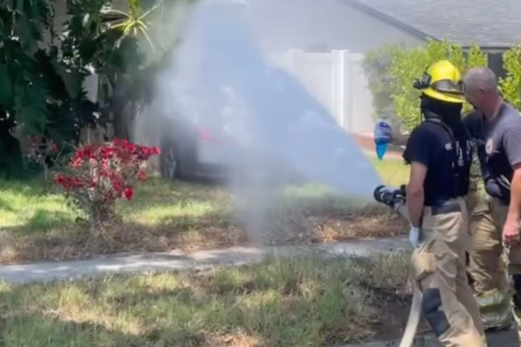 driver-savagely-attacked-by-bees-after-crashing-car-into-hive-on-neighborhood-home