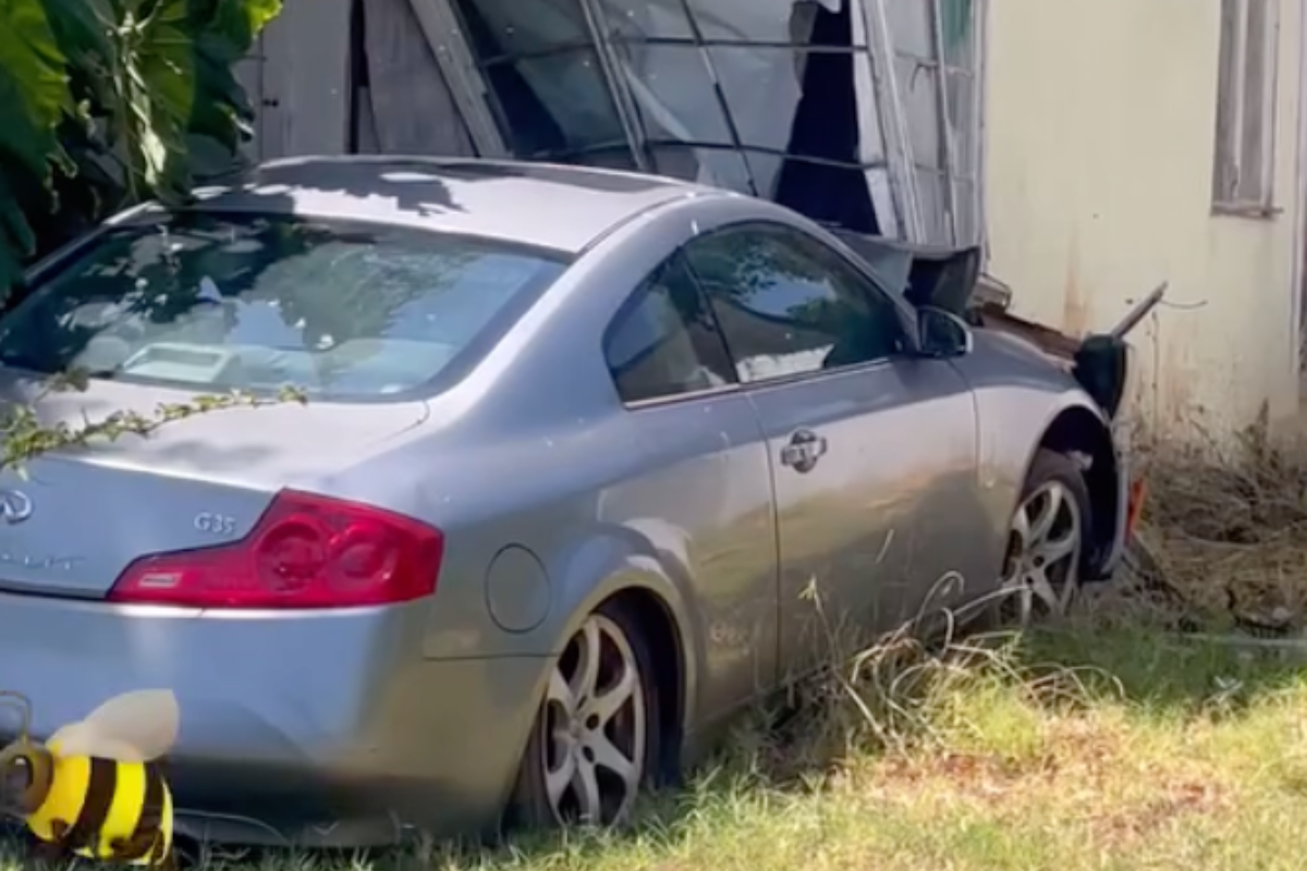 driver-savagely-attacked-by-bees-after-crashing-car-into-hive-on-neighborhood-home