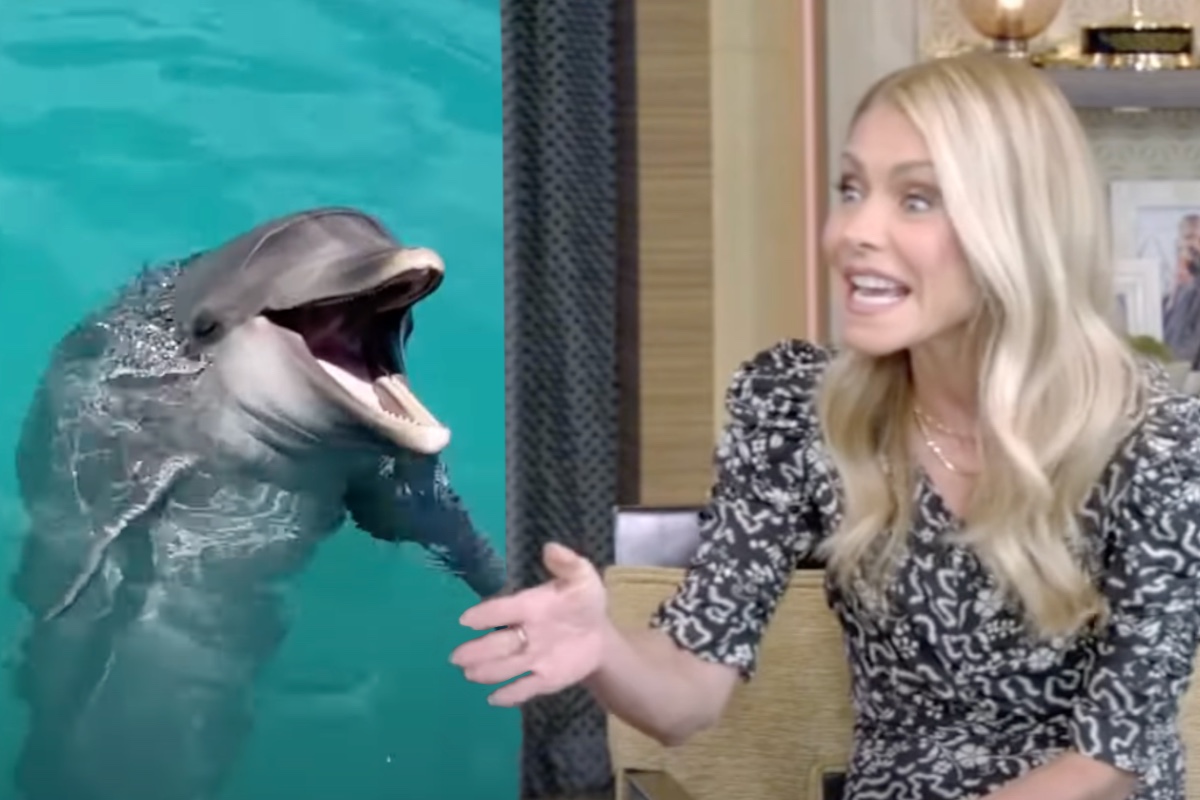 kelly-ripa-once-jumped-off-a-boat-thinking-she-could-speak-fluently-to-dolphins