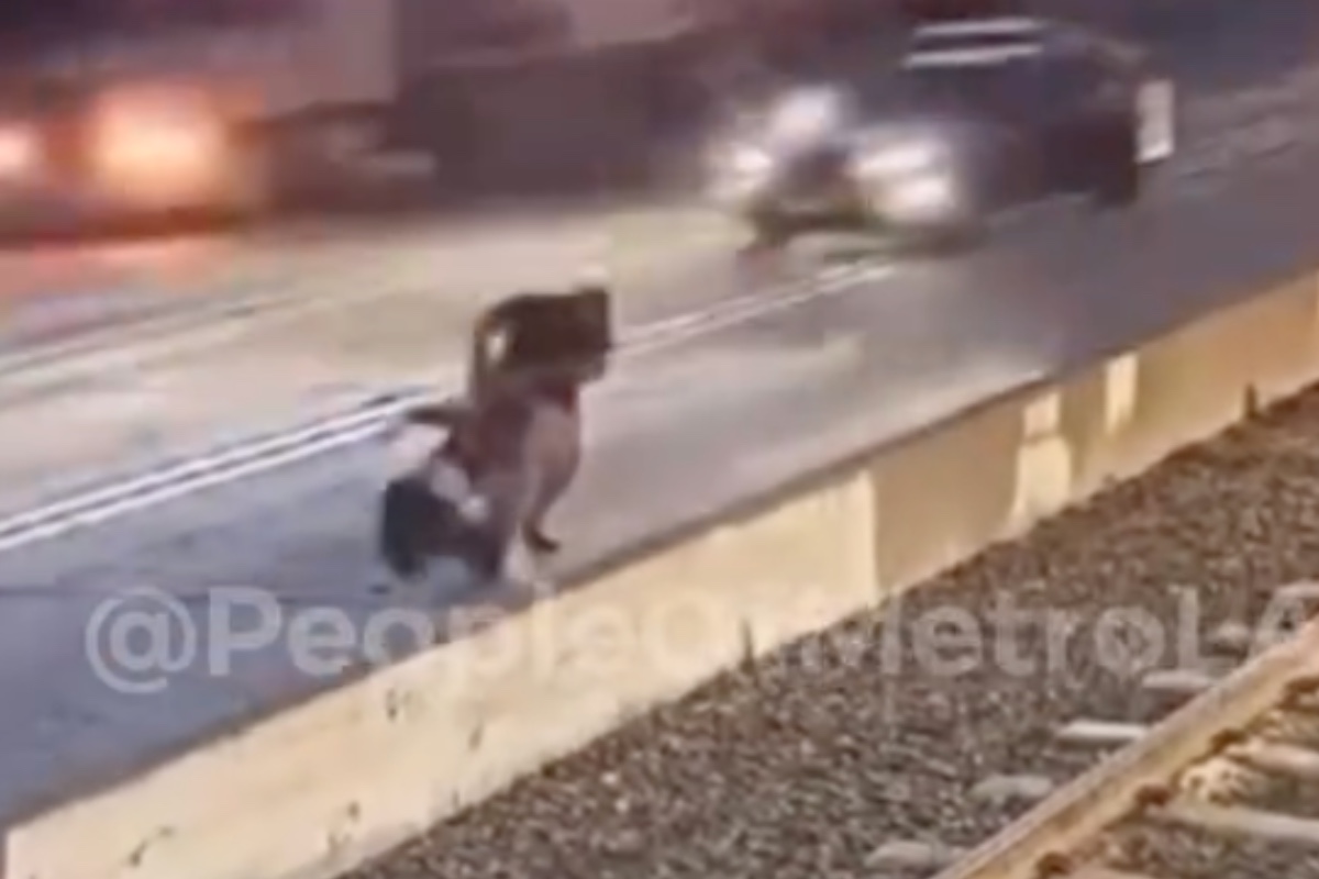 man-attacks-woman-attempts-to-drag-her-into-traffic-in-horrifying-video