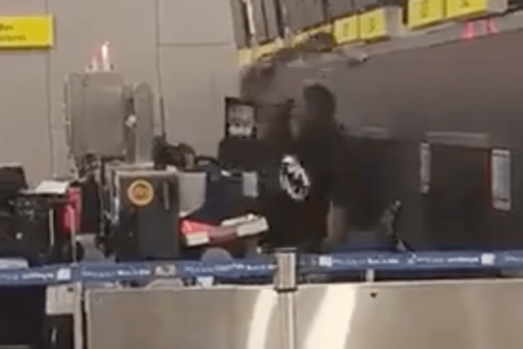 man-destroys-american-airlines-counter-with-hammer-after-buying-fake-ticket-by-scammer-watch