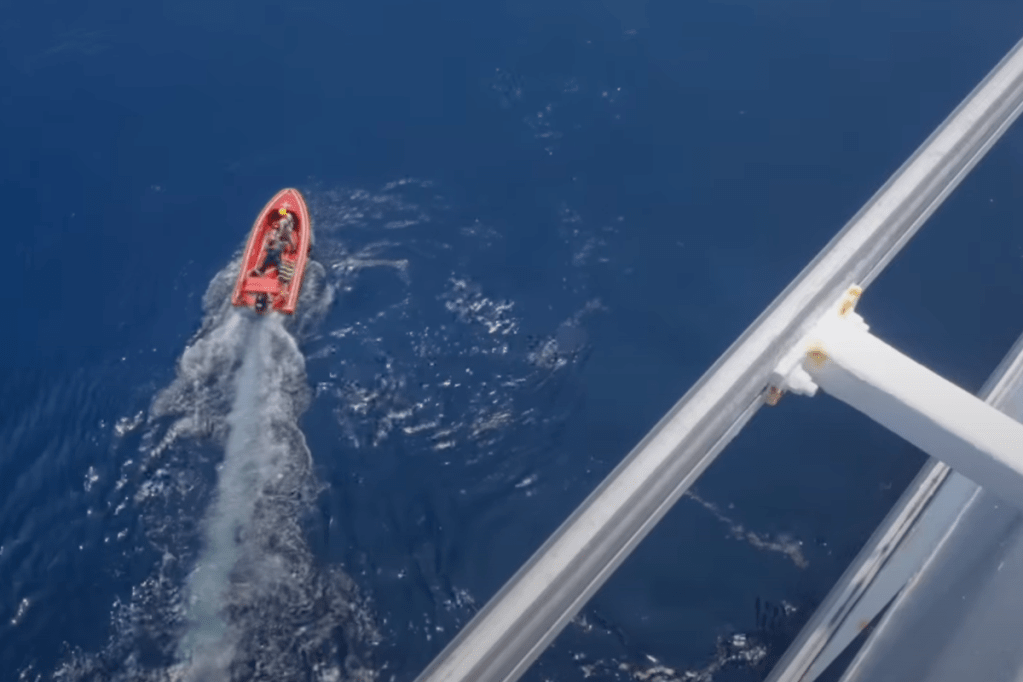 tourist-accidentally-captures-cruise-ship-passenger-plunging-to-his-death-on-horrifying-video