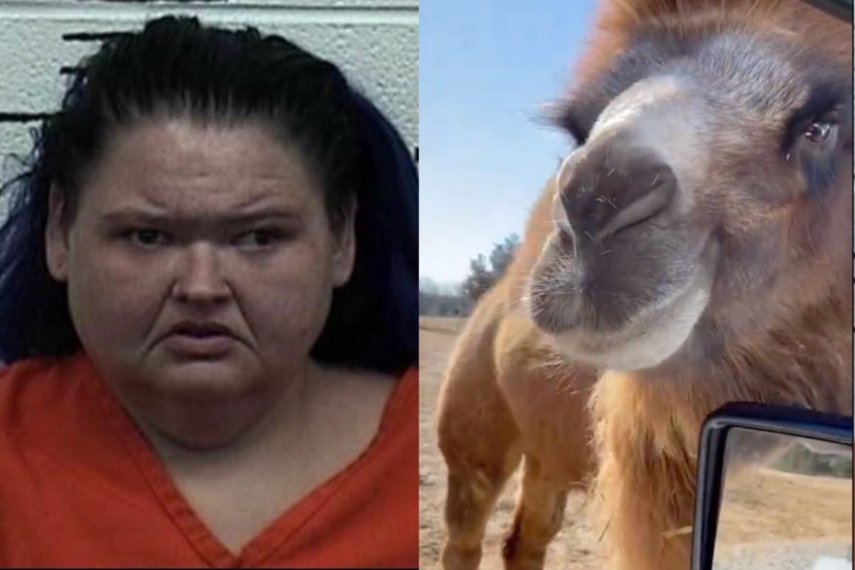 1000-lb-sisters-star-amy-slaton-stretchered-out-of-zoo-after-camel-bite