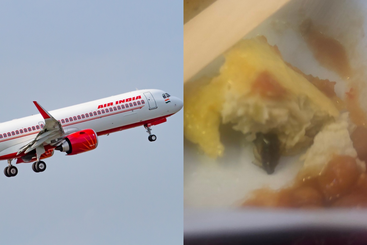 airline-passenger-claims-she-fell-ill-after-eating-cockroach-filled-omelet-on-flight