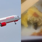 airline-passenger-claims-she-fell-ill-after-eating-cockroach-filled-omelet-on-flight