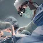 florida-doctor-removes-wrong-organ-from-patient-killing-them-instantly