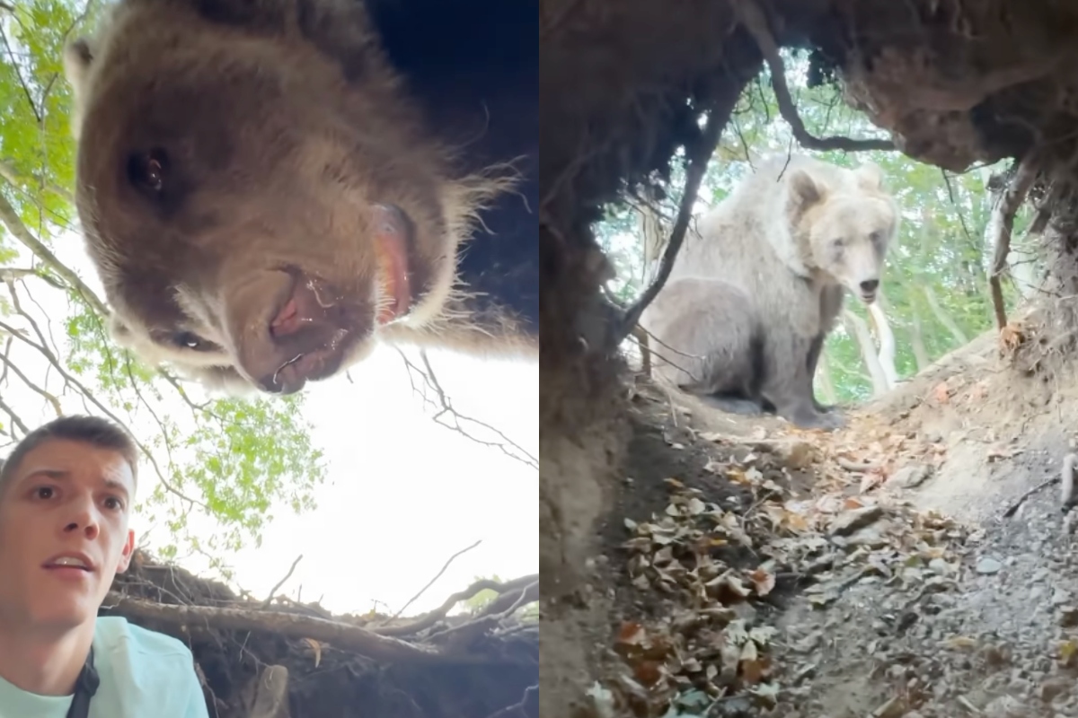 influencer-comes-face-to-face-with-bear-almost-eaten-while-filming-himself-inside-den