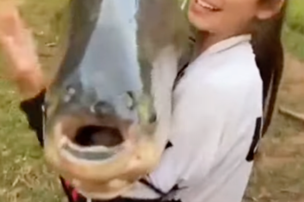 invasive-nightmare-fish-with-human-teeth-discovered-by-angler-in-rec-area-lake