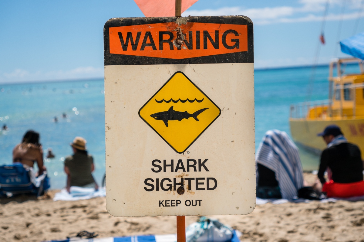 teen-boy-decapitated-in-shark-attack-after-going-spearfishing-by-himself