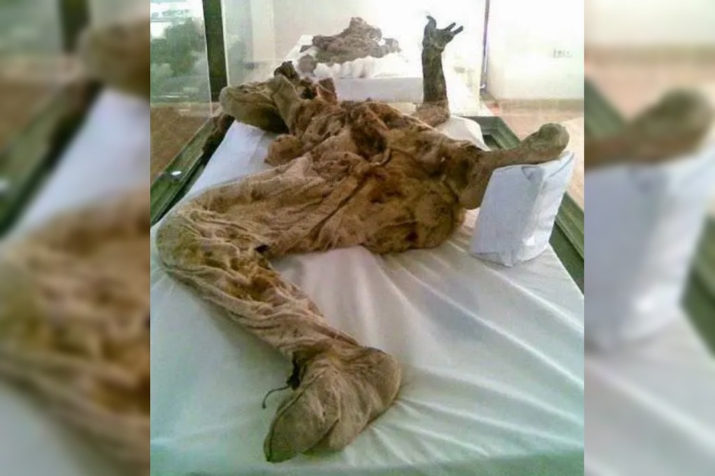 well-preserved-ancient-mummies-dubbed-saltmen-seen-for-first-time-in-new-photos