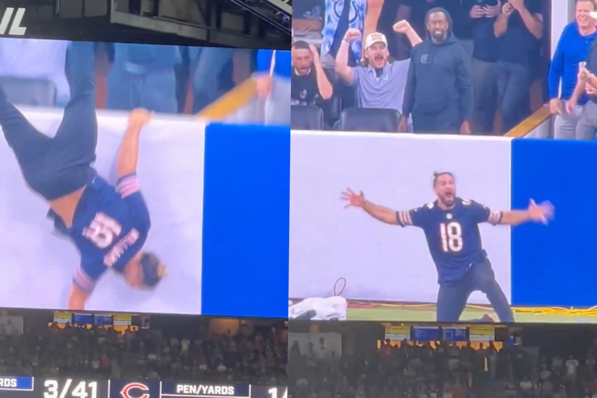 wwe-star-seth-rollins-thrown-over-barricade-onto-field-during-colts-bears-game-in-wild-video