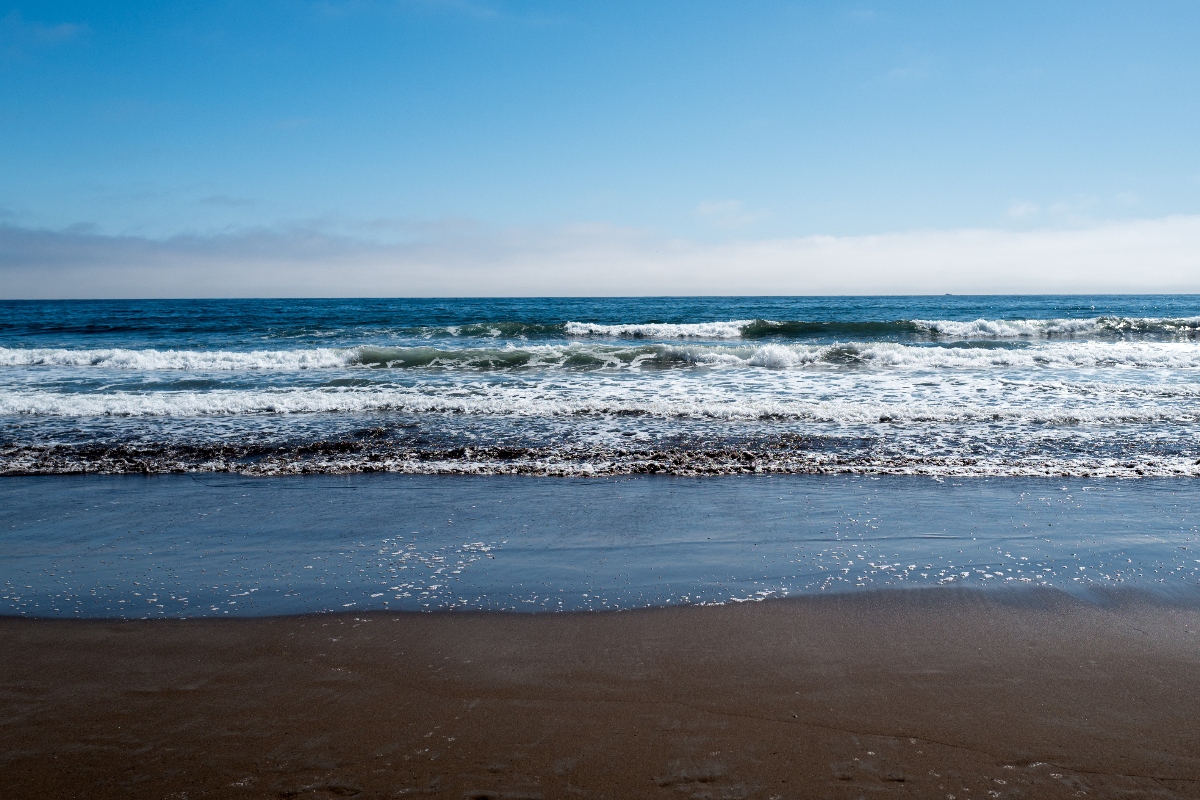 beachgoers-horrified-as-mysterious-white-blobs-wash-up-on-shore