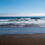 beachgoers-horrified-as-mysterious-white-blobs-wash-up-on-shore