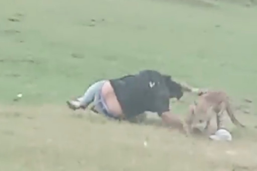 leopard-mauls-picnickers-who-taunted-it-in-chilling-viral-video 