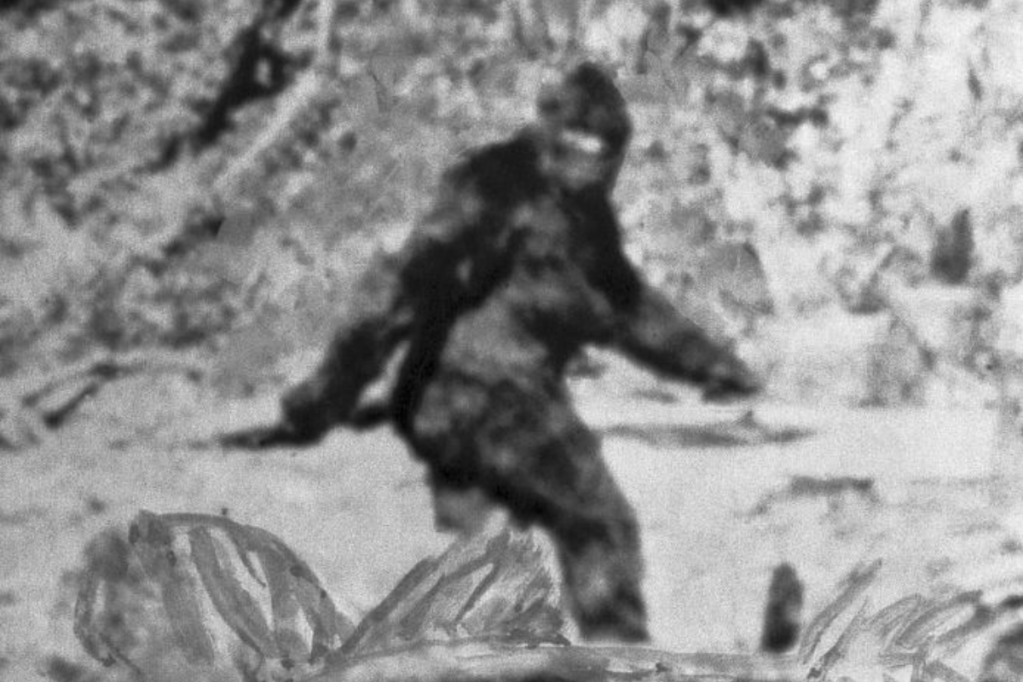 man-experiences-scariest-moment-of-his-life-with-bigfoot-encounter-in-wild-video-og