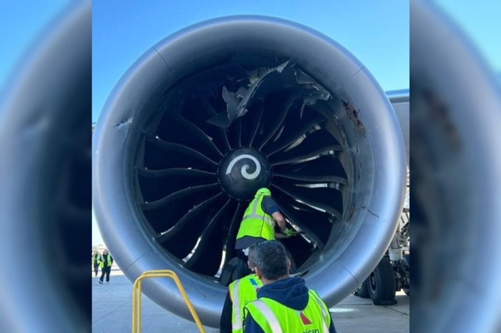 plane-damaged-after-cargo-gets-sucked-into-engine-in-wild-video