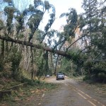 2-dead-over-700k-without-power-after-bomb-cyclone-hits-seattle-area