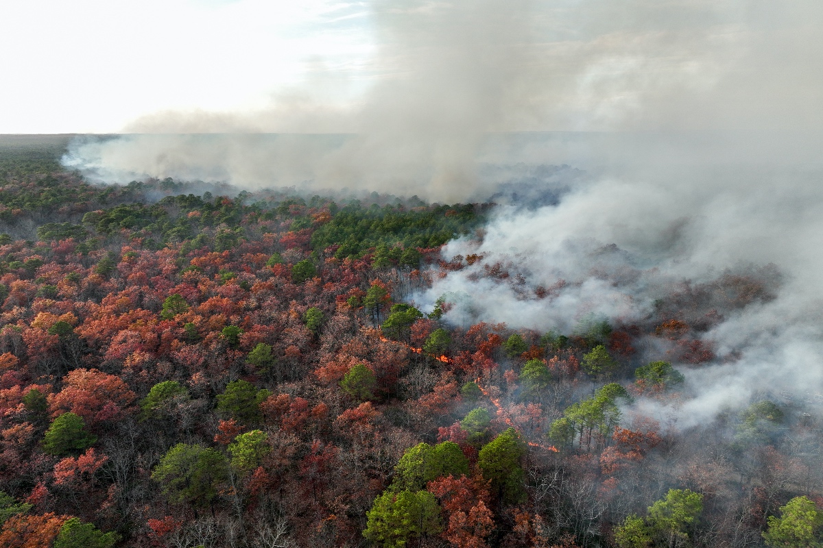 man-charged-with-starting-new-jersey-wildfire-with-shotgun-blast