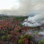 man-charged-with-starting-new-jersey-wildfire-with-shotgun-blast