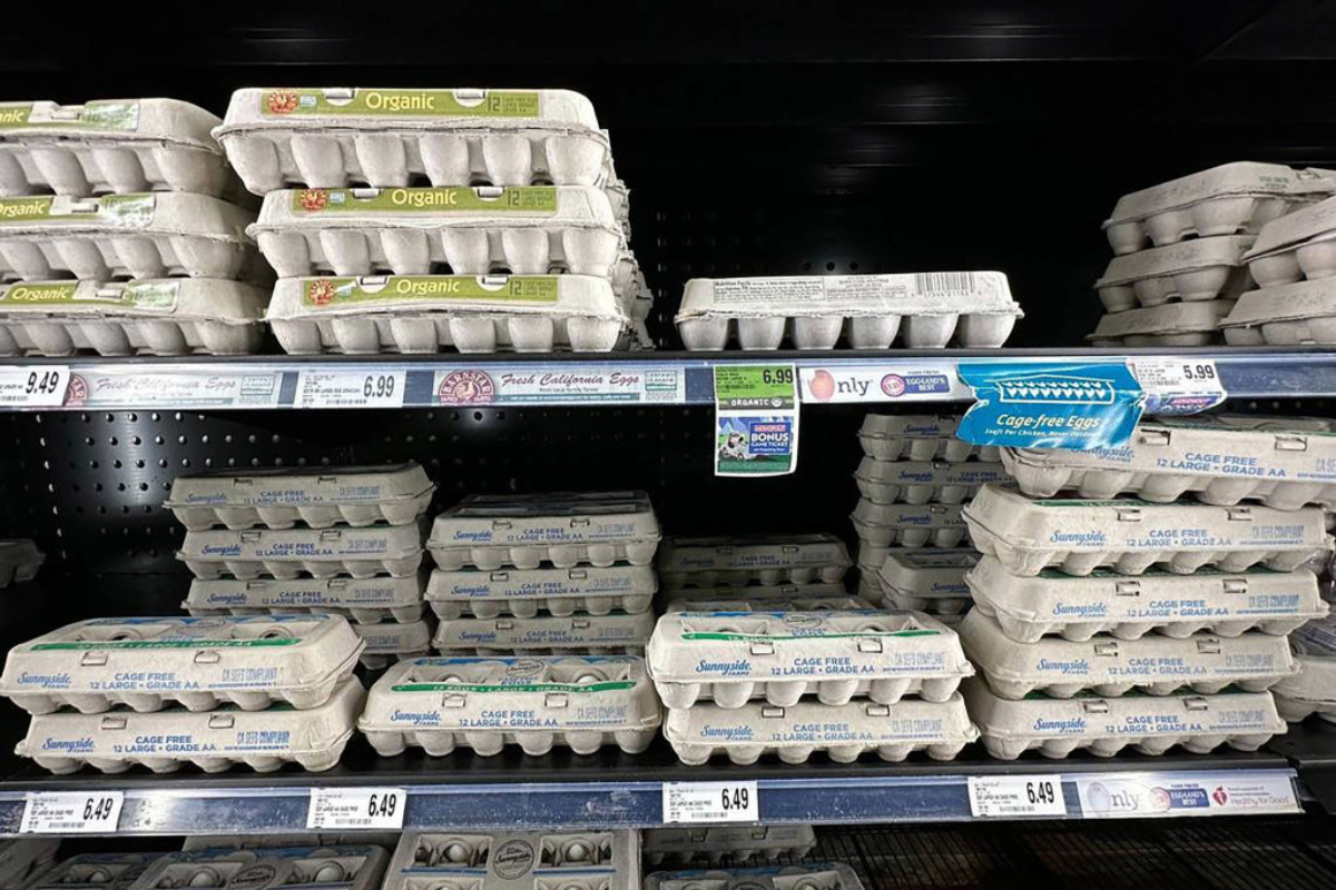 Nationwide Egg Shortage Causes Prices to Spike During Holiday Season