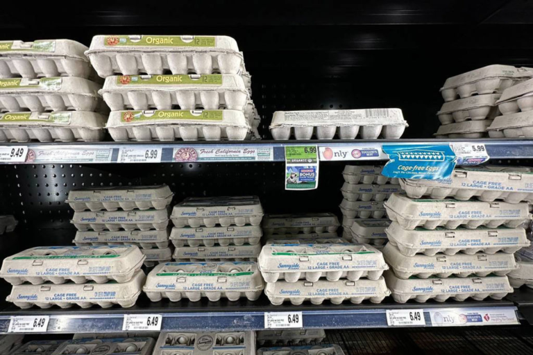 Nationwide Egg Shortage Causes Prices to Spike During Holidays