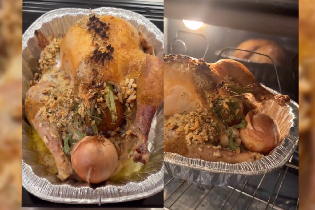 toilet-turkey-terror-influencer-gets-cooked-for-crappy-thanksgiving-recipe-disaster-cooked