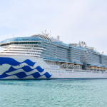 1-cruise-passenger-dead-after-attempting-to-jump-overboard-witnesses-traumatized