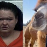 1000-lb-sisters-star-amy-slaton-pleads-guilty-plea-deal-zoo-arrest