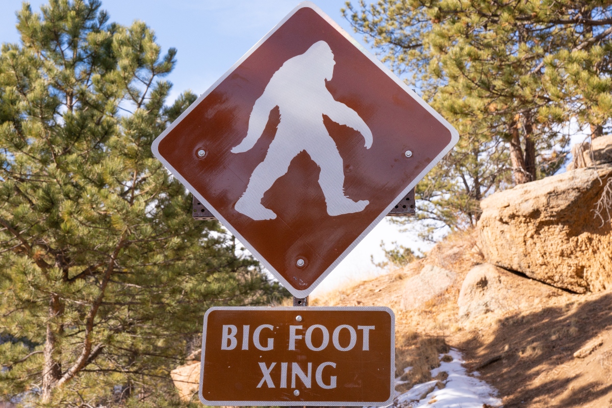 2-men-die-while-looking-sasquatch