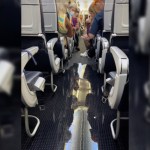 passengers-panic-as-american-airlines-flight-floods-in-midair