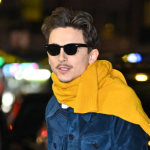 timothee-chalamet-debuts-shocking-new-look-see-photos