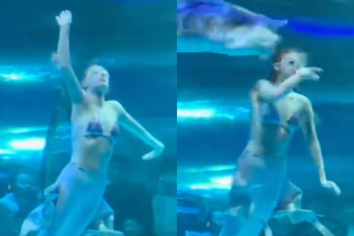 Video: Giant Fish Attacks Mermaid Performer in Terrifying Aquarium Footage