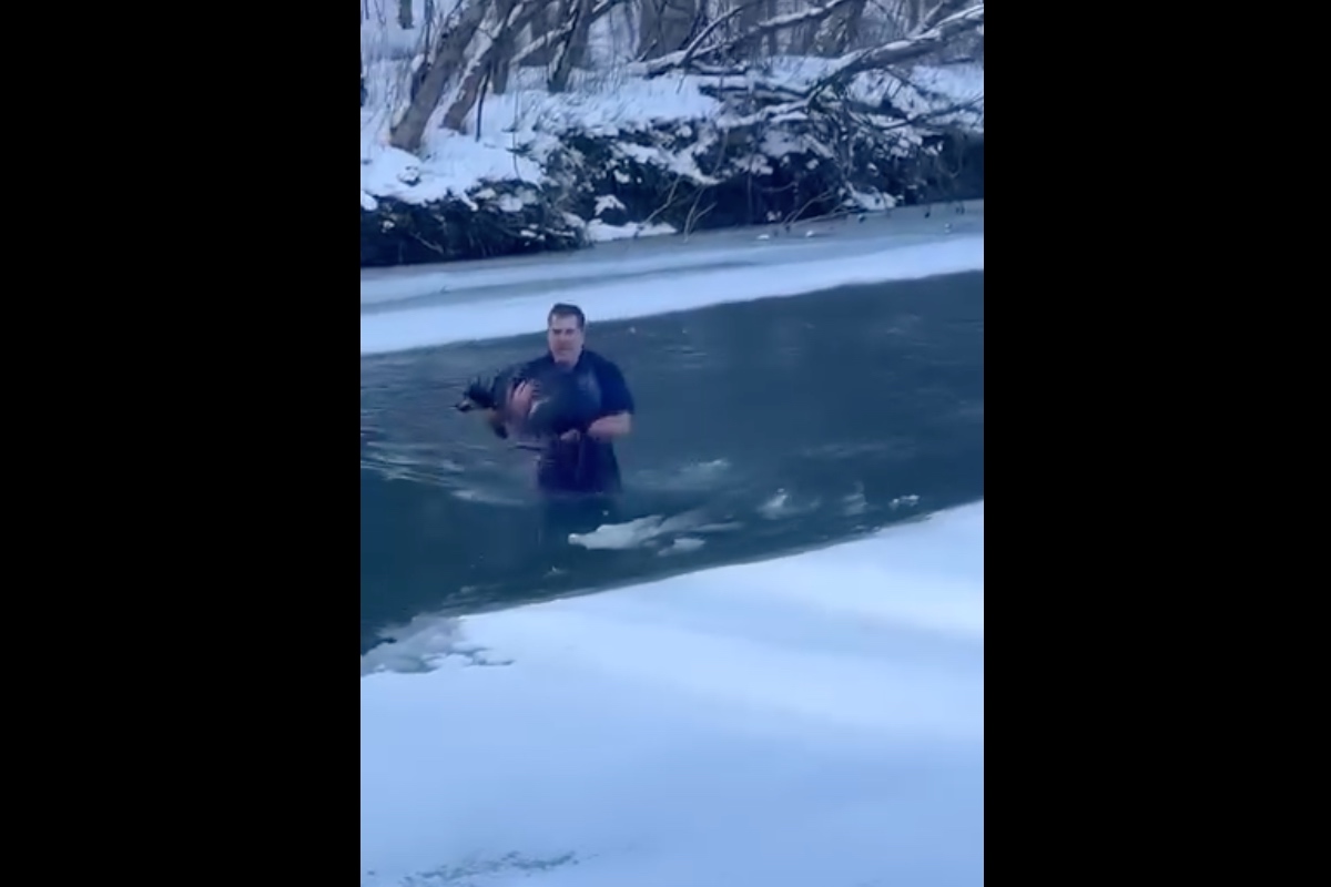 Man Jumps Into Frigid Water to Save Helpless Dog in Wild Video