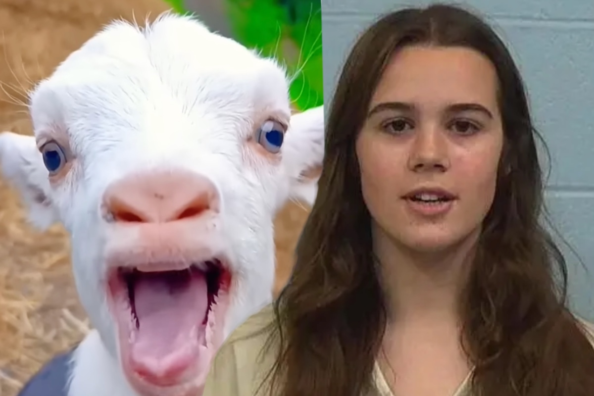 Texas Teen Arrested for Fatally Poisoning Classmate’s Show Goat