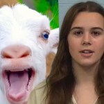 texas-teen-arrested-for-fatally-poisoning-classmates-show-goat